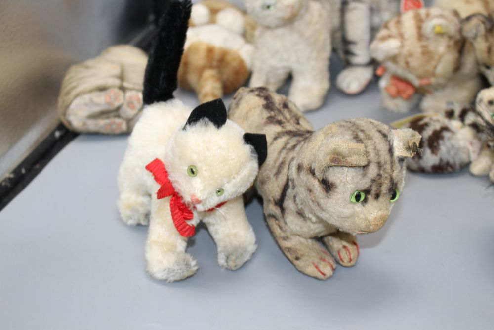 A collection of assorted soft toy cats